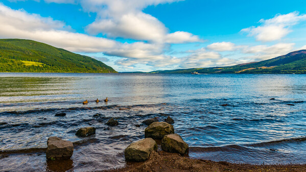 A landscape shot of Loch Ness in Scotland.  It is shown from the shore of the loch. It includes three Slavonian grebe birds resting in the lake. 