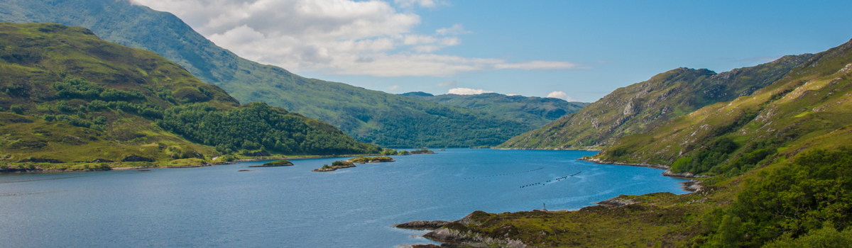 An image of Loch Lomond, advertising the Go Swim Loch Lomond event.