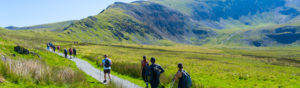 A group of people are trekking along a gravel path in a green open field. They are wearing different outfits suited for hiking. Some of them have walking sticks. In the distance there is a mountain.