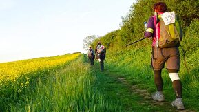 People are hiking along a path in a grassy field. They are wearing hiking gear. The field has yellow flowers.