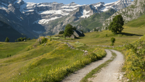 A gravel path in a field of green grass. In the distance are mountains. There is also a house next to the path. 
