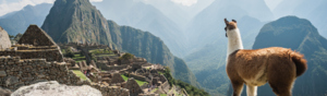 A llama is standing near Machu Picchu. The llama has brown and white fur. 