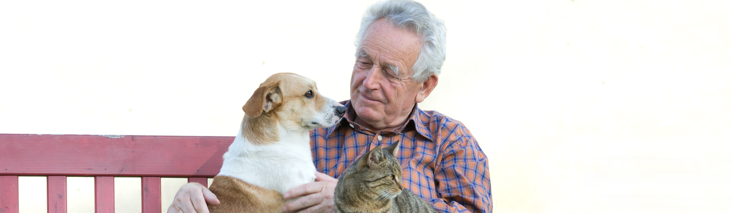 A man sitting on a bench with a dog and a cat