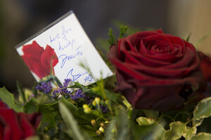 A red rose with a tribute card
