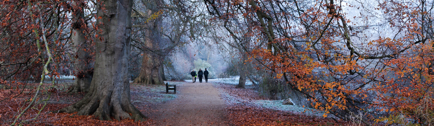 Three people are walking along a path at the University Parks in Oxford. The the path is linked with trees that are beginning to drop their autumnal leaves. 