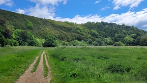 A dirt and gravel path through a grassy field. In the distance are rolling green hills and bright blue, slightly cloudy skies.