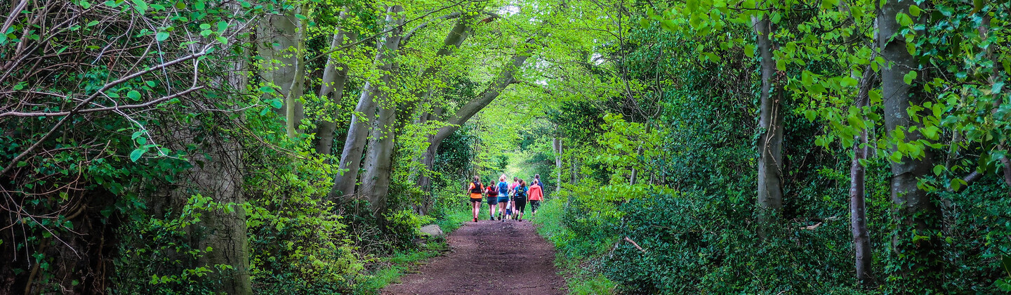 A dirt path through a green forest. People in the distance are running on the path in a large group. There are bright green trees along the path.