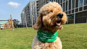 Noah is seen sitting on grass, wearing a Macmillan-branded bandana. Next to Noah is a Macmillan-branded water bottle.