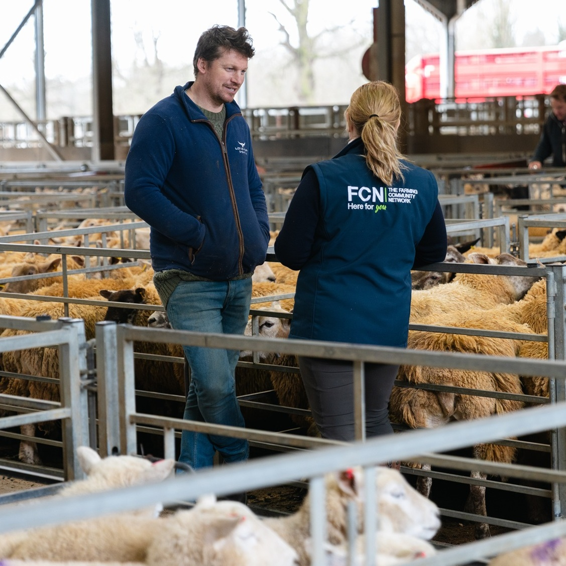 People talking inside a livestock barn, standing among pens of sheep.