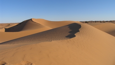 Sand dunes in the Sahara desert