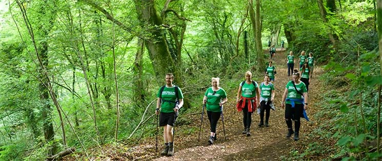 Group of about 10 people hiking through the woods, all wearing green Macmillan t-shirts and a couple with walking poles.