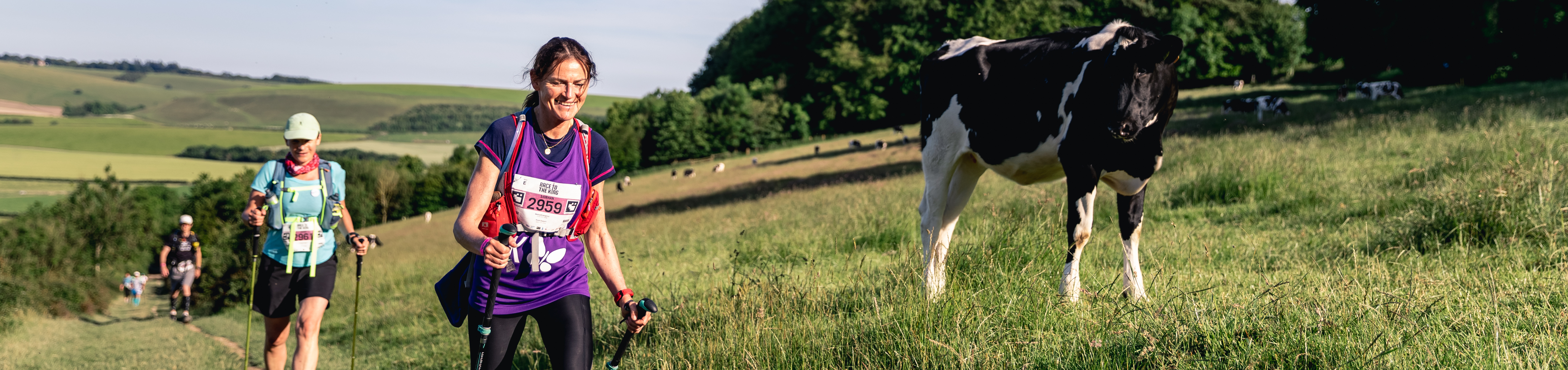 A hiker walking on a countryside path.