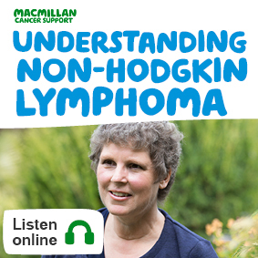 MAC11635 Understanding NHL E16 audiobook cover